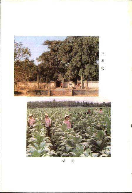 《河南省郏县地名志》.pdf电子版_河南省志预览图5