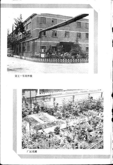 《郑州第二柴油机厂志》.pdf电子版_河南省志预览图5