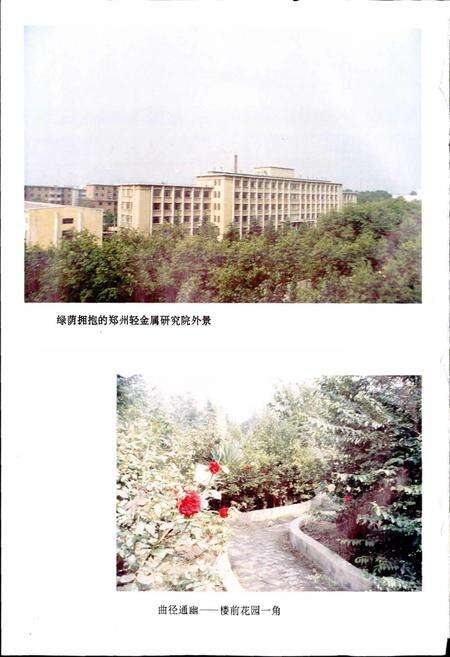 《郑州轻金属研究院志》.pdf电子版_河南省志预览图2