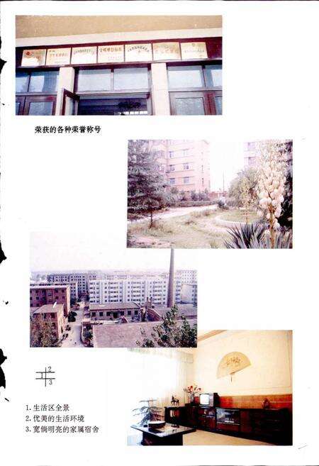 《郑州轻金属研究院志》.pdf电子版_河南省志预览图5