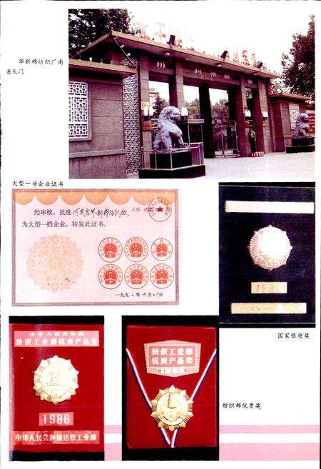 《华新厂志》.pdf电子版_河南省志预览图5