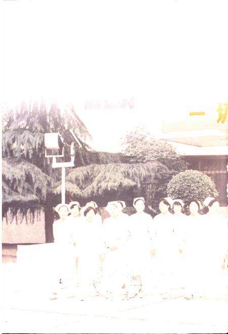 《河南中医学院第一附属医院院志》.pdf电子版_河南省志预览图2