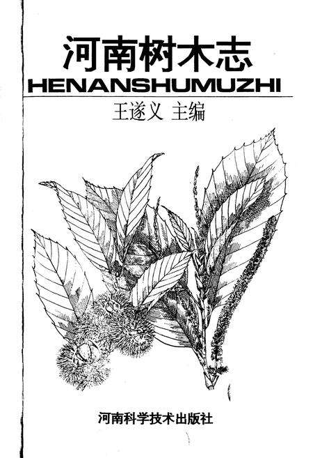 《河南树木志》.pdf电子版_河南省志预览图1