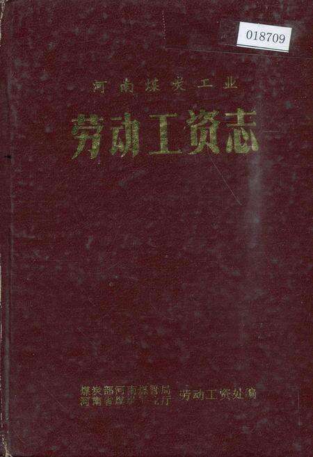 《河南煤炭工业劳动工资志》.pdf电子版_河南省志缩略图