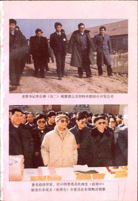 《河南省粮食志 商丘地区县市简志》.pdf电子版_河南省志预览图5