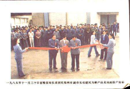 《郑州面粉厂厂志》.pdf电子版_河南省志预览图5