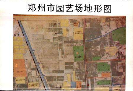《郑州市园艺场志》.pdf电子版_河南省志预览图2