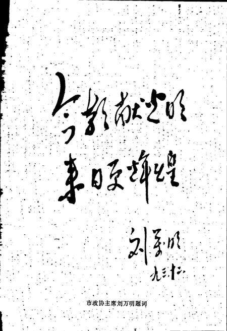 《义马村志》.pdf电子版_河南省志预览图3