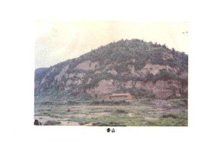 《义马村志》.pdf电子版_河南省志预览图4