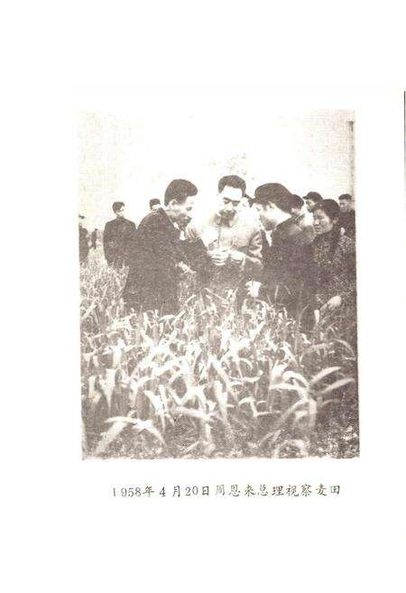 《关虎屯村志》.pdf电子版_河南省志预览图3