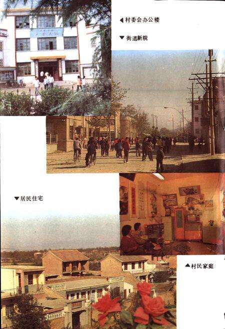 《陕县大营村志》.pdf电子版_河南省志预览图5