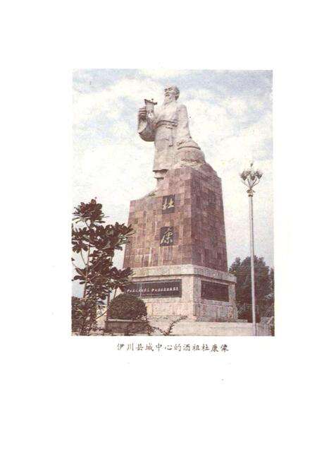 《中国杜康酒志》.pdf电子版_河南省志预览图2