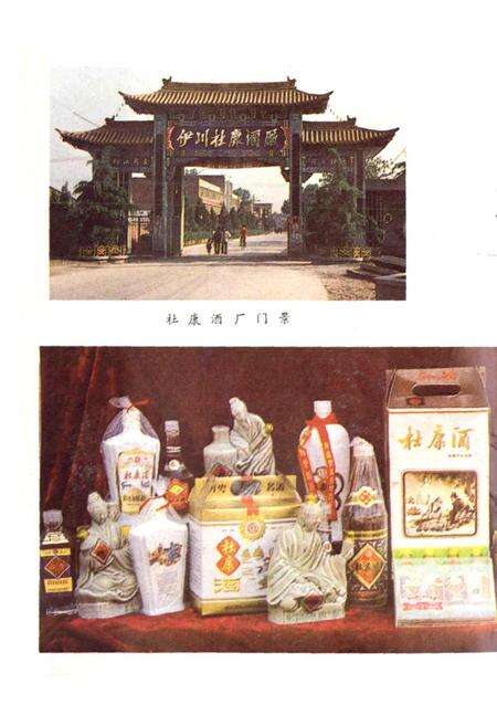 《中国杜康酒志》.pdf电子版_河南省志预览图3