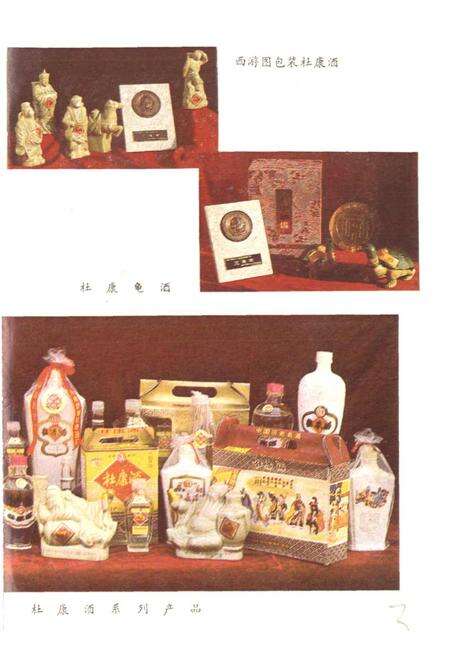 《中国杜康酒志》.pdf电子版_河南省志预览图4
