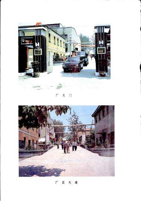 《焦作市制动器厂志》.pdf电子版_河南省志预览图3