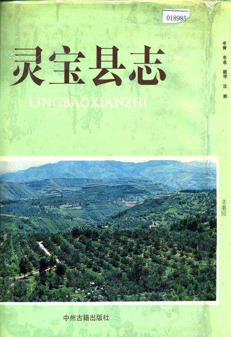 《灵宝县志》.pdf电子版_河南省志缩略图
