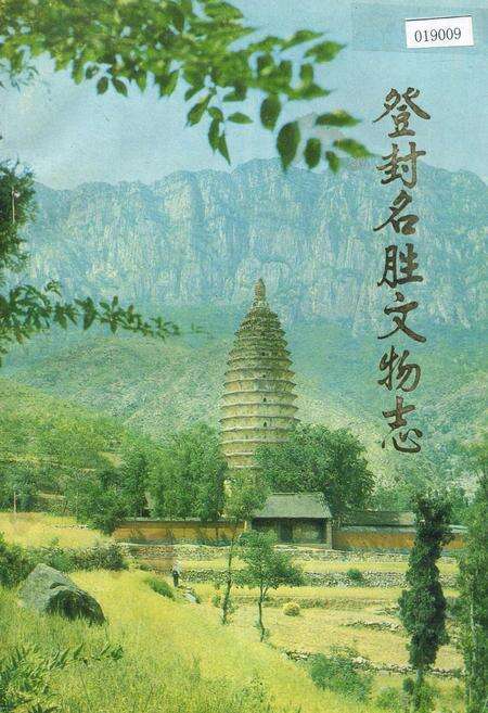《登封名胜文物志》.pdf电子版_河南省志缩略图
