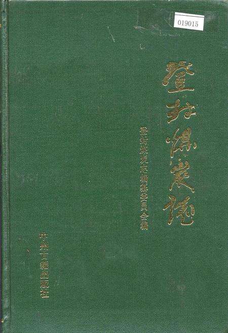 《登封煤炭志》.pdf电子版_河南省志缩略图