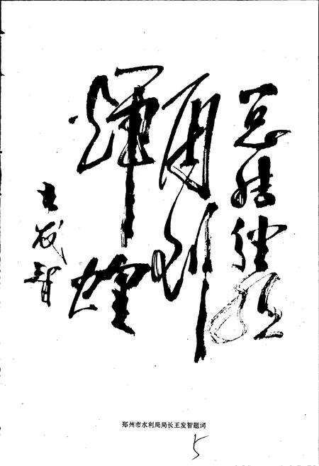 《新郑市水利志》.pdf电子版_河南省志预览图4