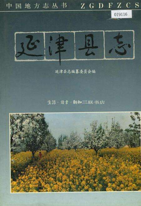 《延津县志》.pdf电子版_河南省志缩略图