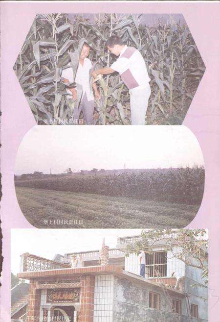 《堡上村志》.pdf电子版_河南省志预览图5