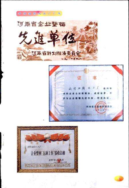 《开封油脂化工厂厂志》.pdf电子版_河南省志预览图5