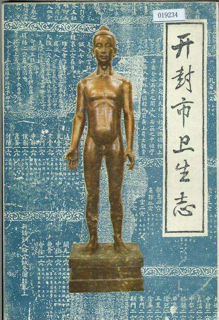 《开封市卫生志》.pdf电子版_河南省志缩略图