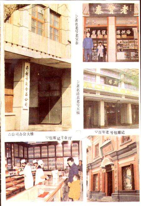 《开封糖业烟酒志》.pdf电子版_河南省志预览图4
