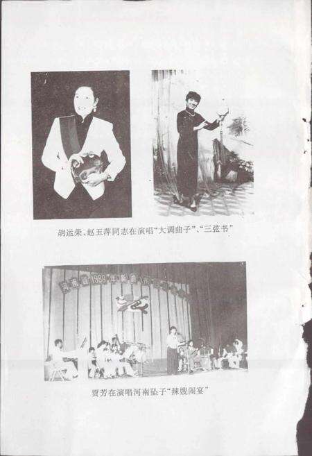 《平顶山市曲艺志》.pdf电子版_河南省志预览图3