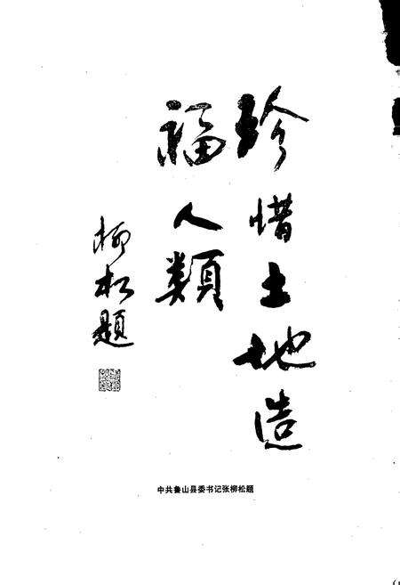 《平顶山市土地志鲁山卷》.pdf电子版_河南省志预览图4