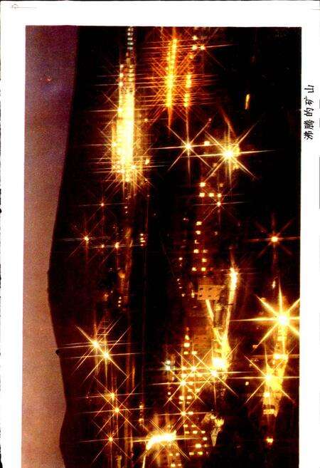 《朝川煤矿志》.pdf电子版_河南省志预览图4