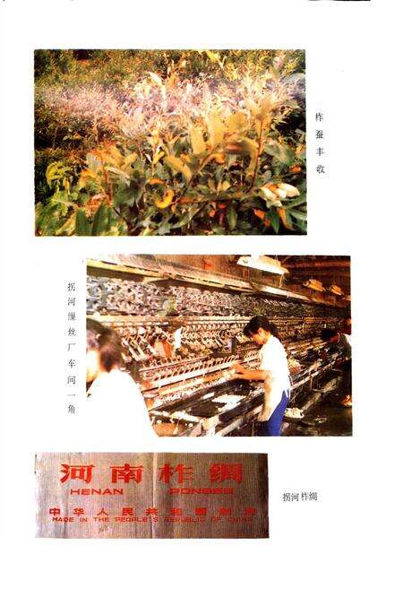 《方城县经贸志》.pdf电子版_河南省志预览图5