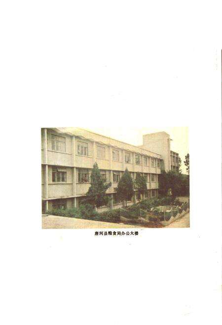 《唐河县粮食志》.pdf电子版_河南省志预览图5