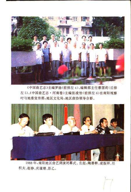 《南阳地区曲艺志》.pdf电子版_河南省志预览图4