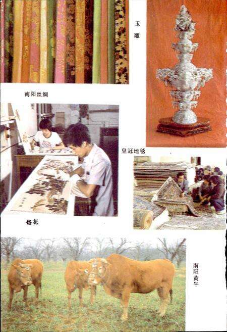 《南阳地区经贸志》.pdf电子版_河南省志预览图5