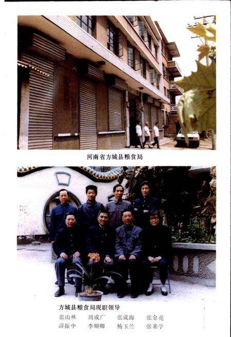 《方城县粮食志》.pdf电子版_河南省志预览图2