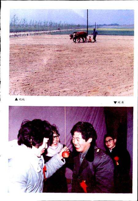 《方城民俗志》.pdf电子版_河南省志预览图5