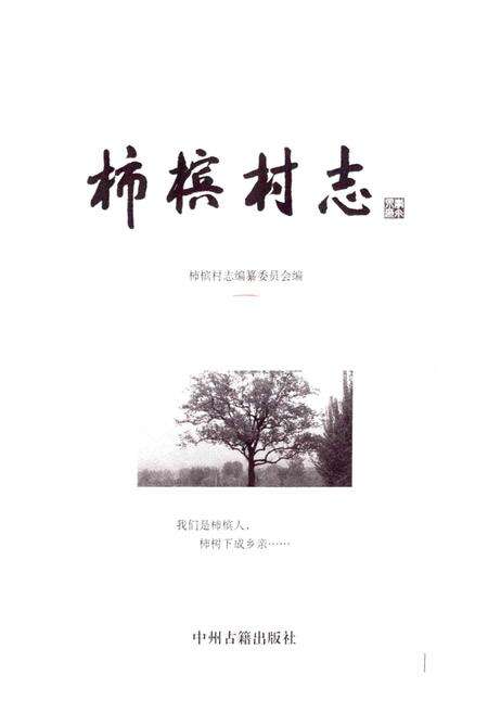 《柿槟村志》.pdf电子版_河南省志预览图1