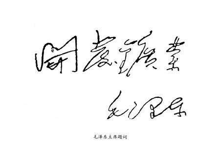 《河南省地质矿产勘查开发局第四地质探矿队队志(1965-1999)》.pdf电子版_河南省志预览图3