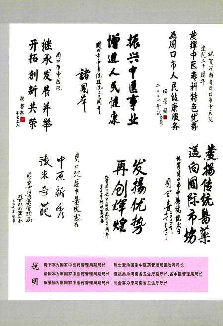 《周口市中医院志(1978-2005)》.pdf电子版_河南省志预览图5