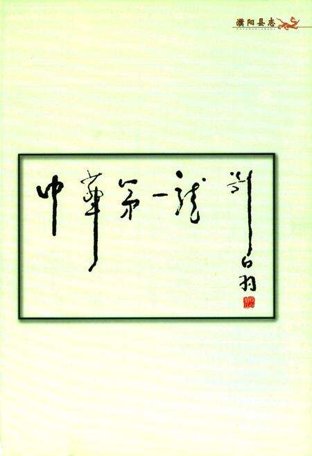 《濮阳县志(1980~2000)》.pdf电子版_河南省志预览图4