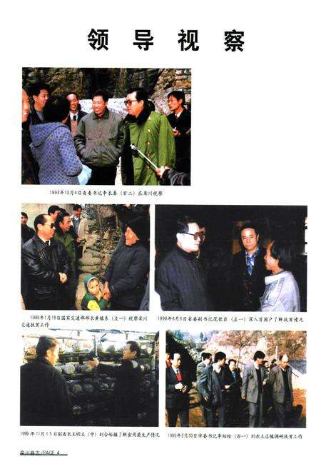 《栾川县志(1990~2000)》.pdf电子版_河南省志预览图5