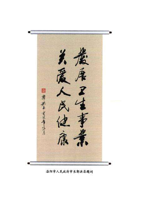 《洛阳市中心医院志(1984~2005)》.pdf电子版_河南省志预览图4