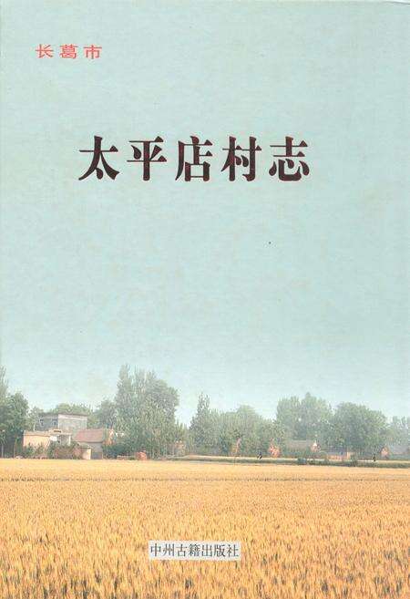 《太平店村志》.pdf电子版_河南省志缩略图
