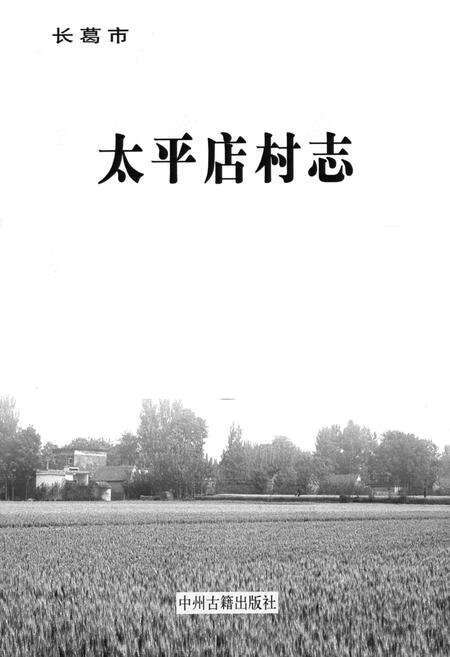 《太平店村志》.pdf电子版_河南省志预览图1