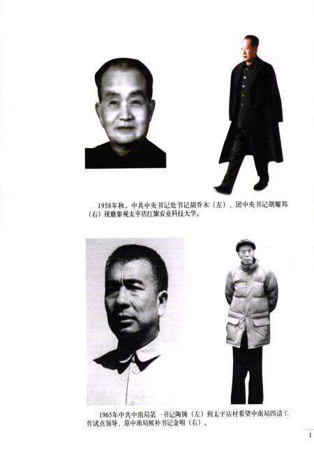 《太平店村志》.pdf电子版_河南省志预览图4