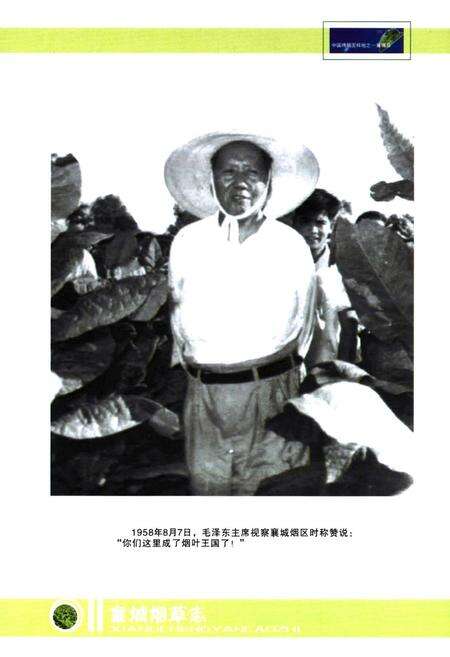 《襄城烟草志(1998~2007)》.pdf电子版_河南省志预览图2