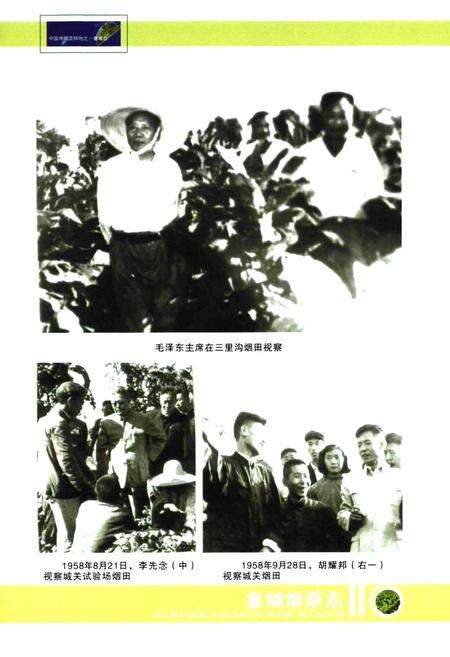 《襄城烟草志(1998~2007)》.pdf电子版_河南省志预览图3