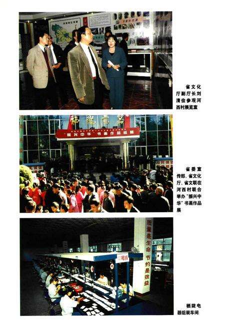 《河西村志》.pdf电子版_河南省志预览图5