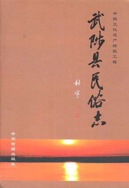 《武陟县民俗志》.pdf电子版_河南省志缩略图